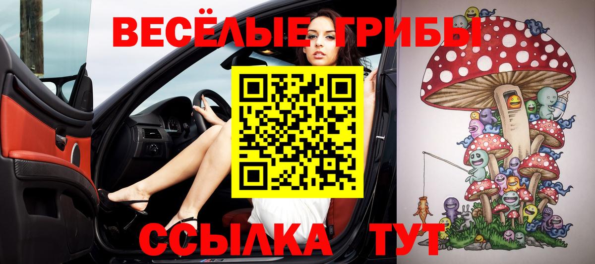 Губаха  Псилоцибиновые грибы прущие грибы  Вход с VPN  Псилоцибиновые грибы Cubensis 