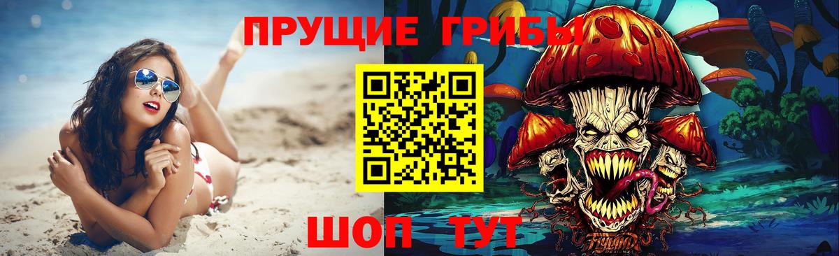 Галлюциногенные грибы мицелий Губаха